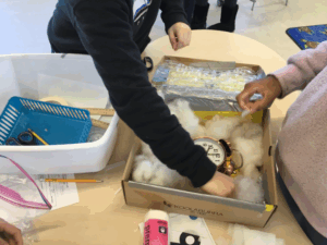 Students work on a design challenge to build a soundproof shoebox at the STEAM Lab, located at the Ripley Building.